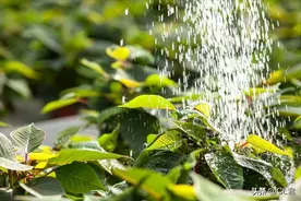 “收不收，就看四月二十八”，明日四月廿八，下雨好不好？了解下图片