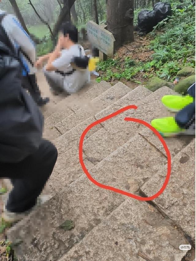 网友称近10人爬梧桐山时滑倒！官方回应