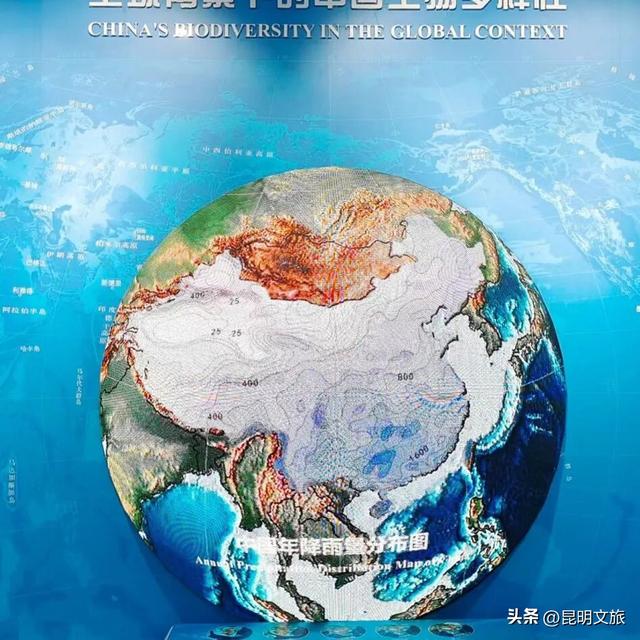 初冬出片C位！昆明这个地方必须榜上有名，周末抓紧冲~