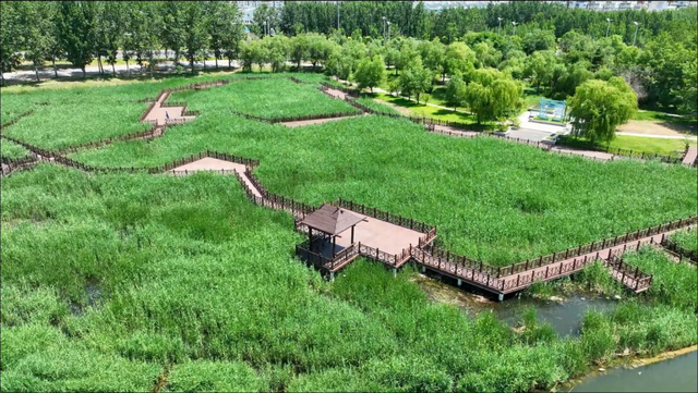 广饶孙武湖生态旅游区，入选全省典型案例！