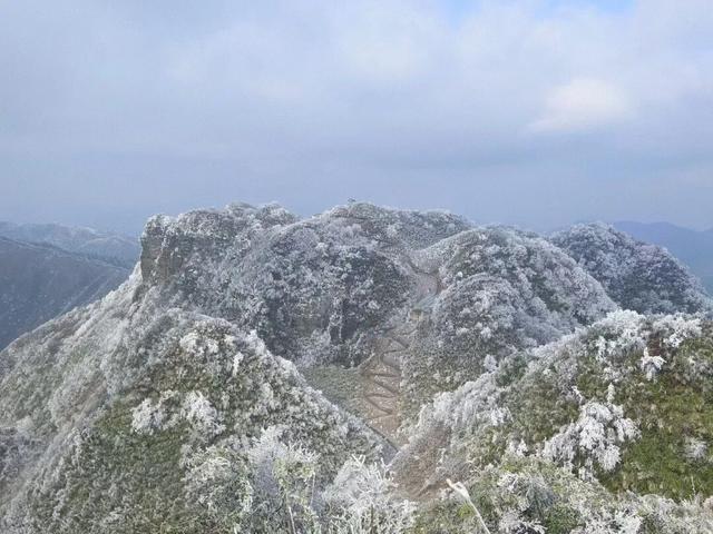 雪景 │ 美到词穷！仁怀首场雾凇惊艳上线