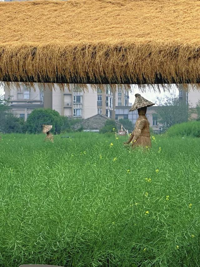 昆山兵希惊现考古重地,想起10年前无人问津的草鞋山