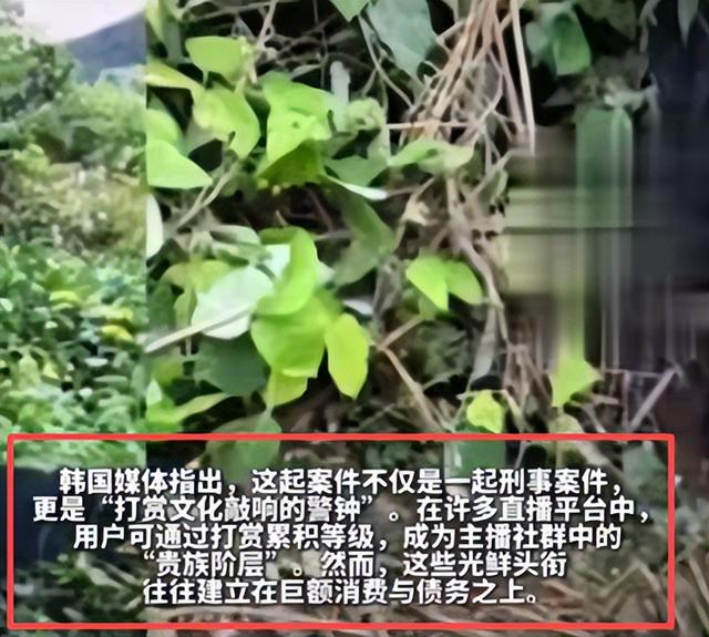 22岁女网红被杀，50岁榜一大哥被捕，钱都是借的，打赏文化太危险