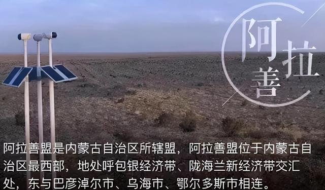 马云斥巨资在沙漠里种树，承诺每年1亿棵，9年过去了，树怎样了