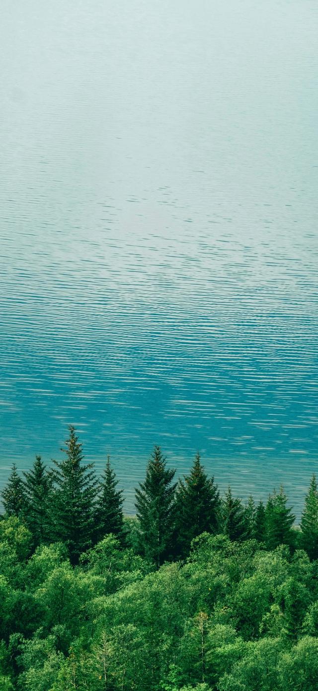 手机壁纸|风景