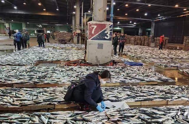 对付日本，中国的最强帮手已到位，美专家指出：大陆不会立即收台