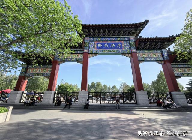 青岛城阳这处“国色天香”藏不住了！火爆了！