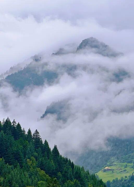 夏末初秋｜达古之绿是四季写给山河的散文诗