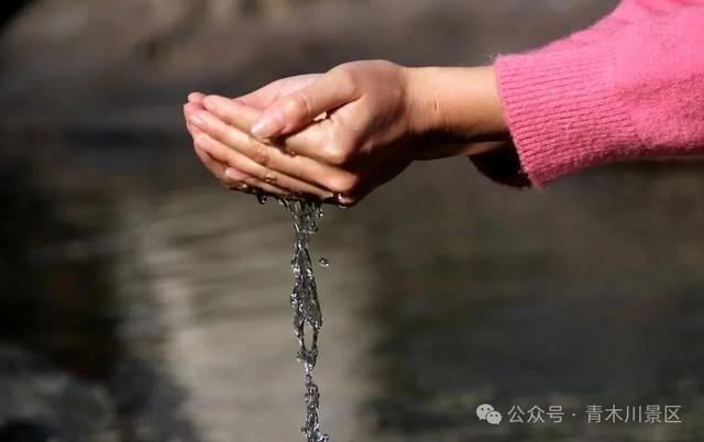 风从三省来！一封来自青木川的时光函→