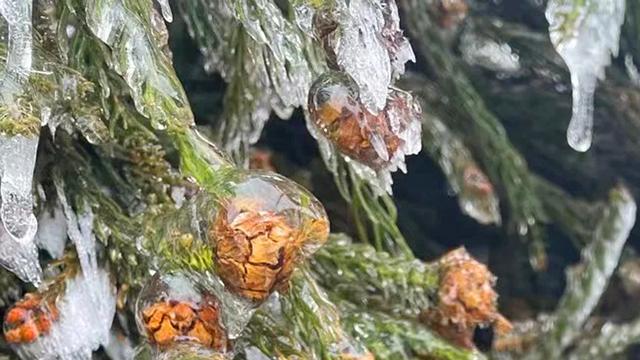 南昌初雪上线！湾里雾凇美成仙境，这份江南冰雪浪漫太惊喜了