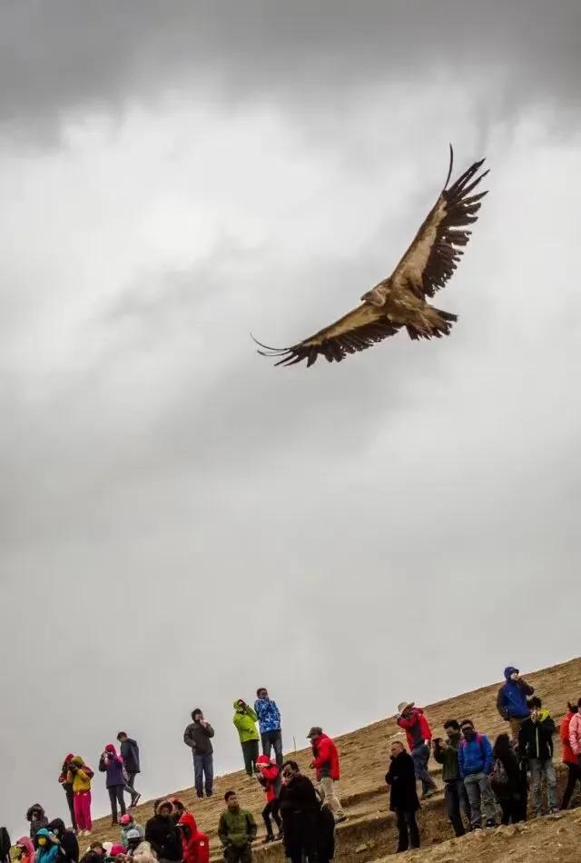 如果有时间，走一次川西顶级路线，1次深度体验胜过10次旅游！