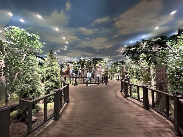 五彩斑斓喀纳斯