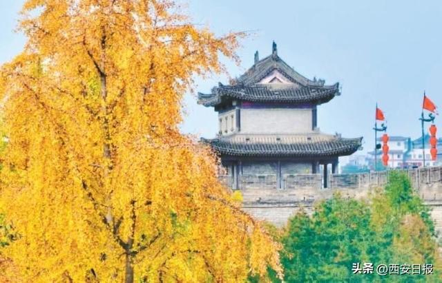 “秋与城的交响”