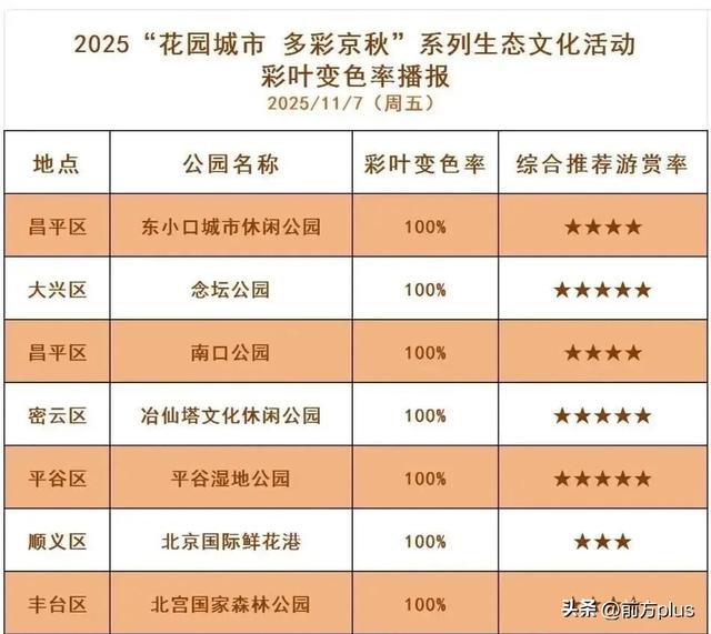 这场不等人的浪漫，有新玩法