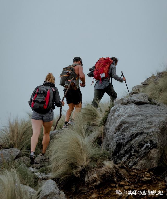 爬山发圈吸引人的句子，登山文案高级有深度