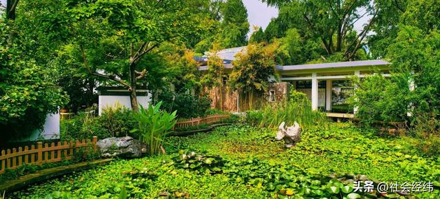 玄武湖：六朝皇家园林底色 梁洲新展 “中华美学” 脉络