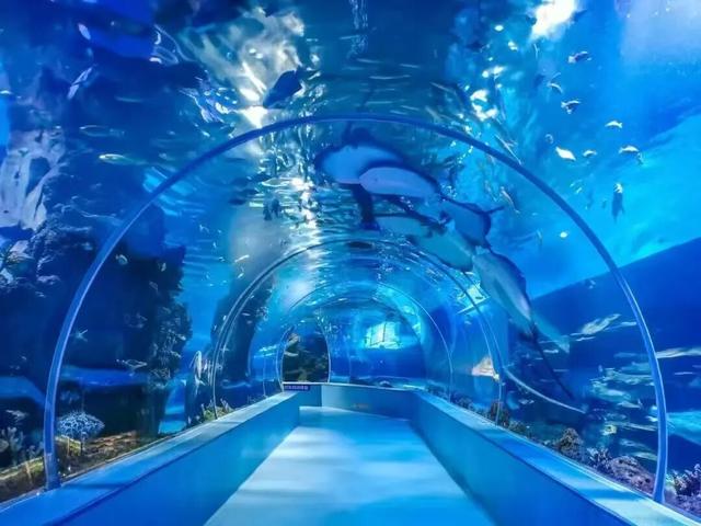 惠民又好玩！临沂36项文旅优惠+69项活动上线