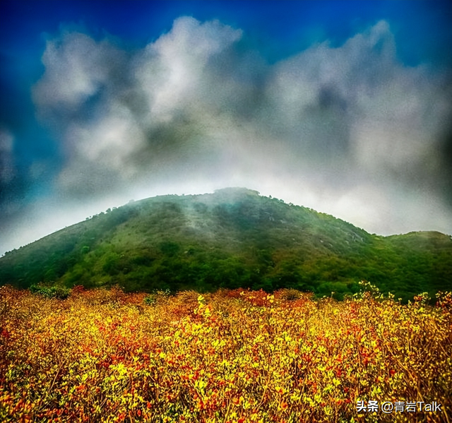 本想追晴天秋色，却在大围山遇雨，意外读懂“暮霭沉沉楚天阔”