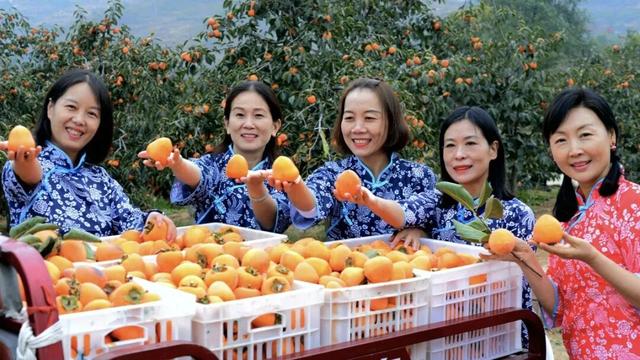 许昌周末漫游 | 把秋天装进篮子里：这份秋季采摘全攻略请收好！