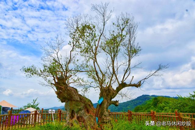 龚家山观景平台——城市森林公园可观日出日落、360度的观景平台
