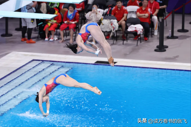 正式退役？央视表态，全红婵返回湛江老家，谁注意何威仪举动