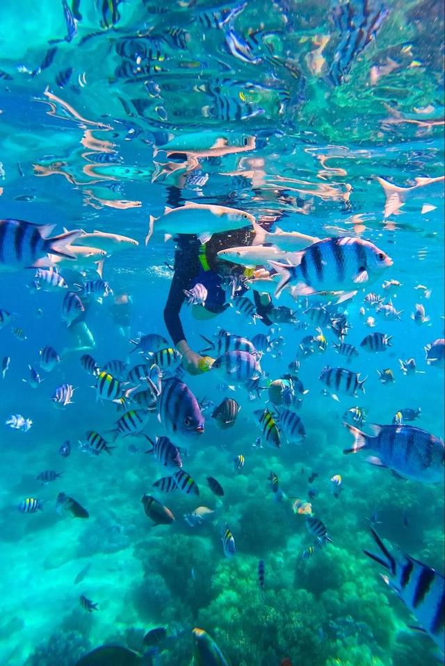 回国了我才敢说：越南是所有东南亚国家中，最被低估的国家！