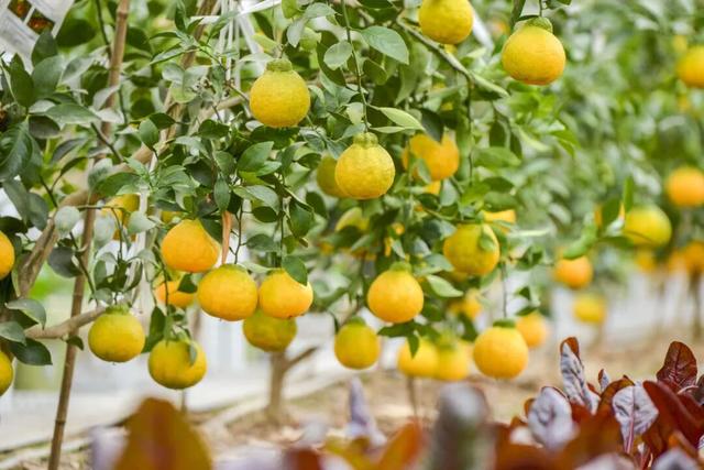 太全面了！8条游玩线路+京郊汤泉！带您玩转北京这里！（1）