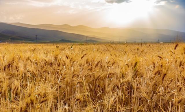 这不是迷信！老人说最怕“冬至是晴天”，今日冬至，晴天有啥预兆