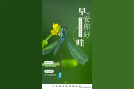 老年骨折疗后愈合不好？一碗猪蹄猪骨药膳喝几天，味美骨折愈合快图片