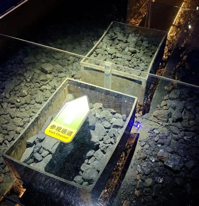 除了出游赏秋，这个假期还有一种度假方式叫……