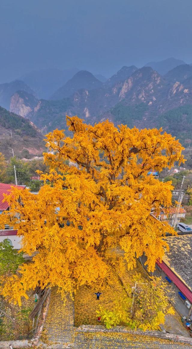 太全面了！8条游玩线路+京郊汤泉！带您玩转北京这里！（1）