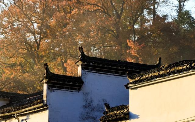 别只知道篁岭，婺源另一个赏秋胜地，美得像泼墨山水画