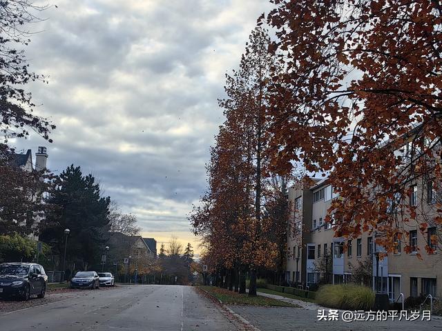 温哥华游记（五）