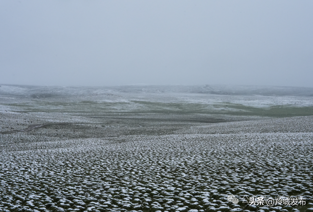 美仁初雪，八月飞白！邂逅羚城最意外的浪漫