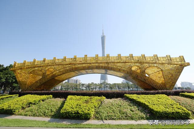 广州一年四季这景点都有花海，绝美赏景地
