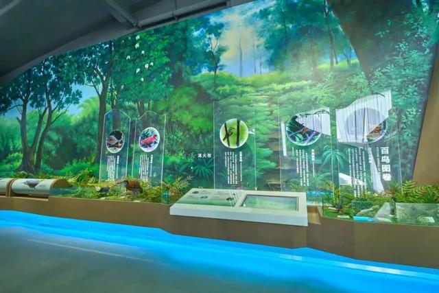 走，到屏山老君山赏秋去→