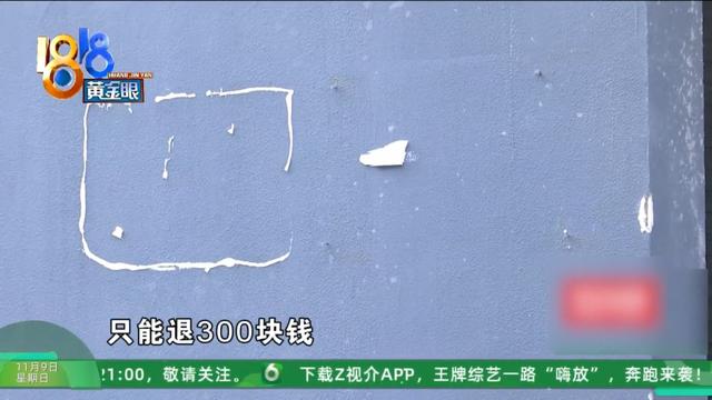 怎么又是这？她还拿出视频，里面“一动不动”，停了几只苍蝇....