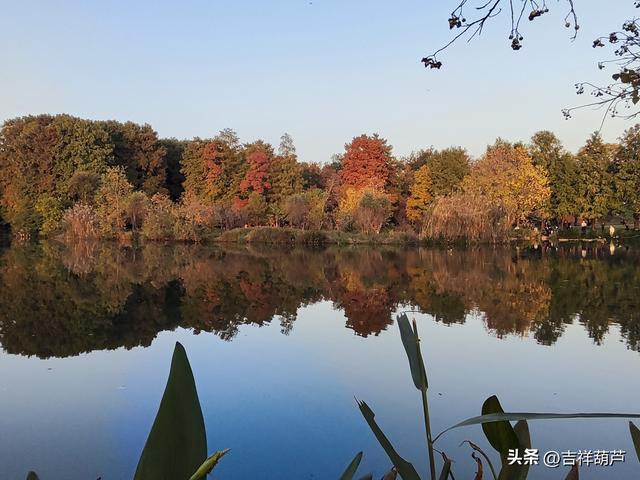 初冬‖钟山前湖月牙堤的日落，美的人移不开眼，停不下手拍摄！