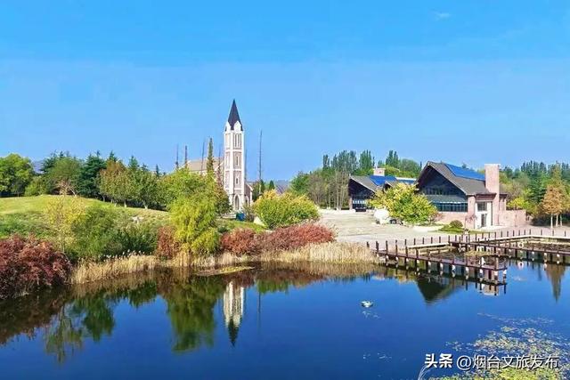 【乐游烟台】目测要火！烟台这座小城最近好看得离谱