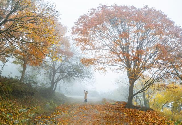 四川石棉县拖乌山：初冬时节的多彩绝唱
