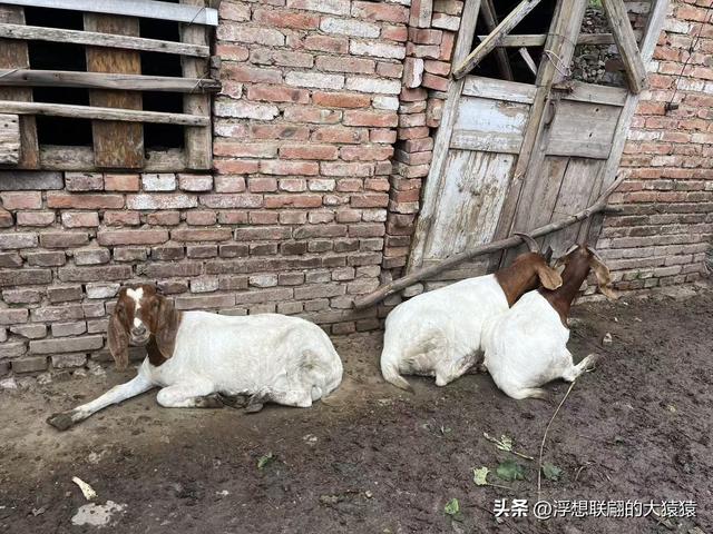 章丘大山深处有一座始建于宋元时期的古庙宇：杓峪庵