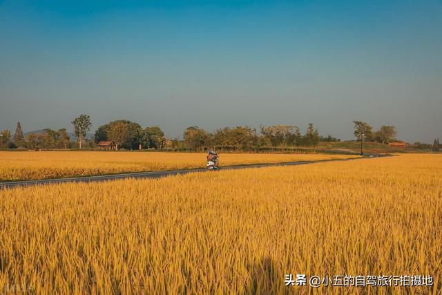 良渚古城一日游攻略｜穿越 5000 年文明，高效打卡世界遗产