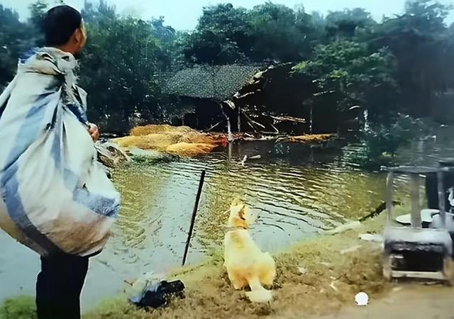 22年前华县特大洪水，一代人挥之不去的记忆