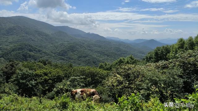 两次本溪南岭徒步记｜高山草甸，湖池松林，我被南岭种草