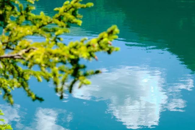 立秋≠降温？这个19℃的翡翠秘境，才是今夏终极避暑答案！