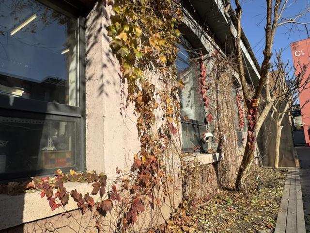 胡同不一“Young” | 方家胡同：工业遗迹“焕新”现代风貌