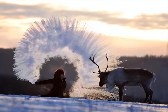 极致体验：呼伦贝尔不可错过的四大“冰雪奇缘”