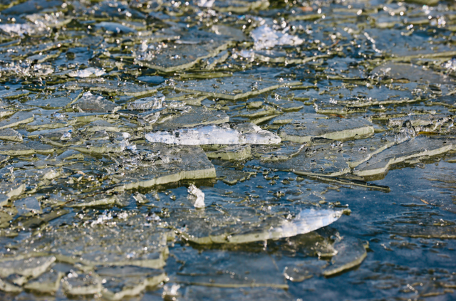长春惊现“龙鳞”！