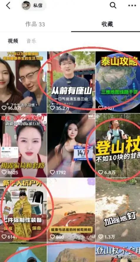 17小时爬泰山后，盲女王营营为何丢了导盲犬、没了工作？