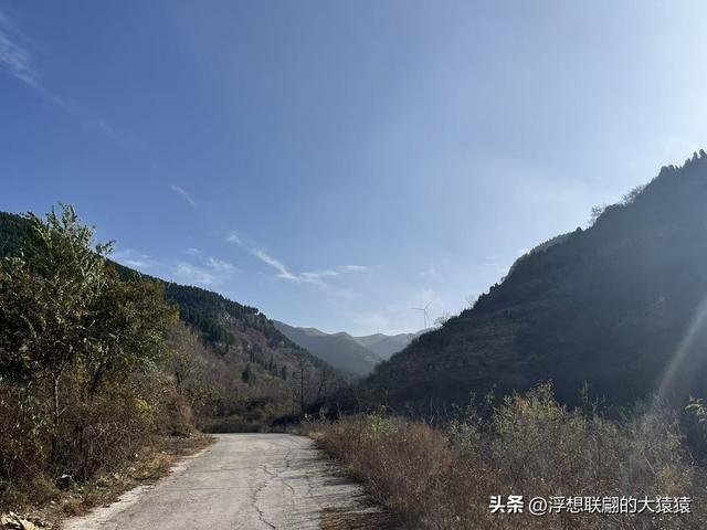 游赏过九鼎山后，我又跑到一户院里“强买”了大爷种在路边的白菜